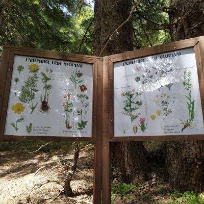 Xaradra Flabouritsas6