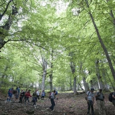 Olympos Skolio17