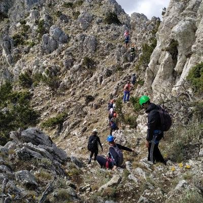 Xtenia Artemisiou6