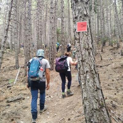Taygetos Pyramida Nyxterini Anavasi2