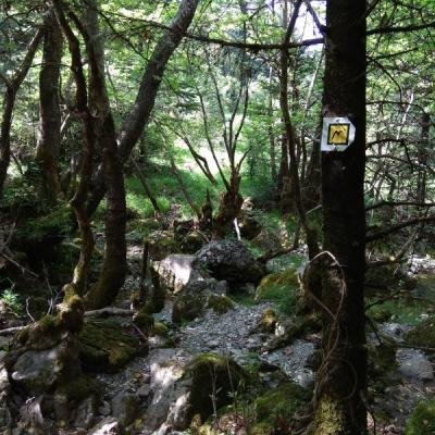 3day Menalo Trail6