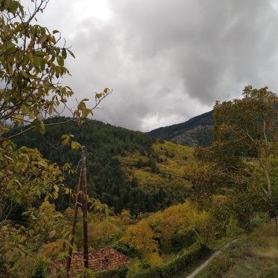 Zarouhla Pezoporia Fysi2