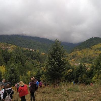 Zarouhla Pezoporia Fysi7