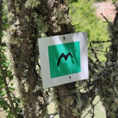 Menalon Trail Magouliana Valtesiniko2