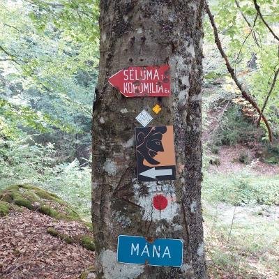 Farangi Enipea Olympos1