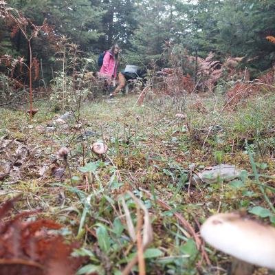 Limni Doxa Kynigi Manitarion5