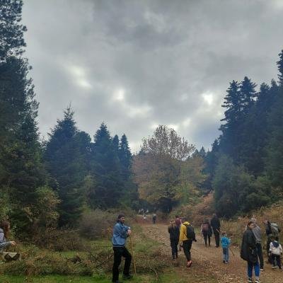 Limni Doxa Kynigi Manitarion6