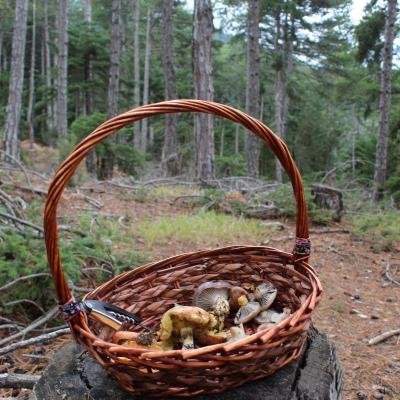 Limni Doxa Kynigi Manitarion