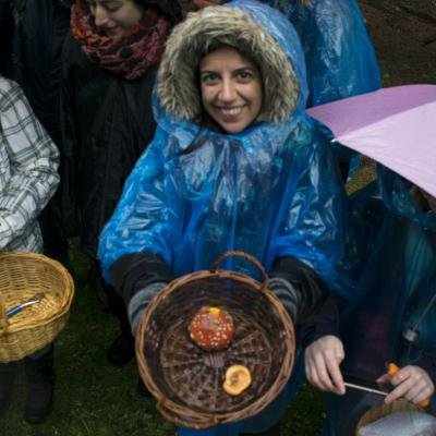 Manitarovolta Arvanitsa2