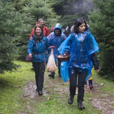 Manitarovolta Arvanitsa9