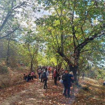 Kastanodasos Karyes Parnonas12