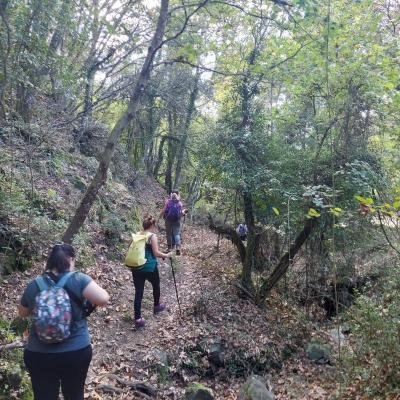 Kastanodasos Karyes Parnonas15