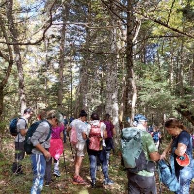 Diasxisi Grammeni Oxia Fysi16