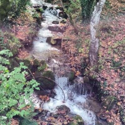 Diasxisi Grammeni Oxia Fysi6