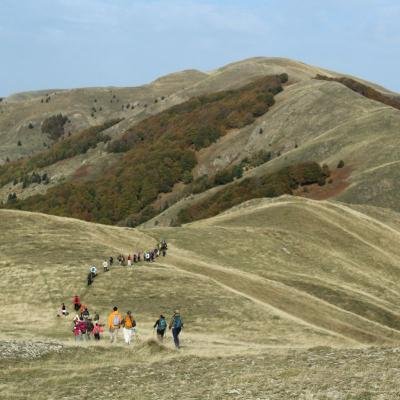Diasxisi Grammeni Oxia Fysi