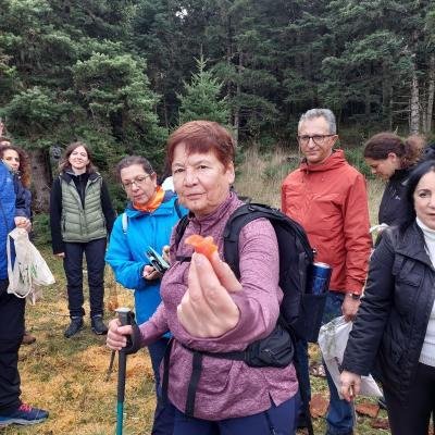 Manitarognosia Mainalo Fthinoporo12