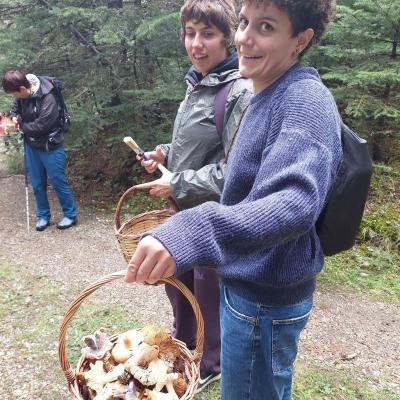 Manitarognosia Mainalo Fthinoporo5