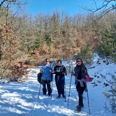 Pezoporia Monopati Dasous Karyes Parnonas12