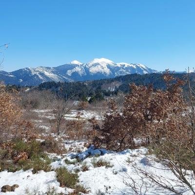 Pezoporia Monopati Dasous Karyes Parnonas17