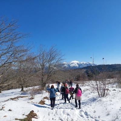 Pezoporia Monopati Dasous Karyes Parnonas18