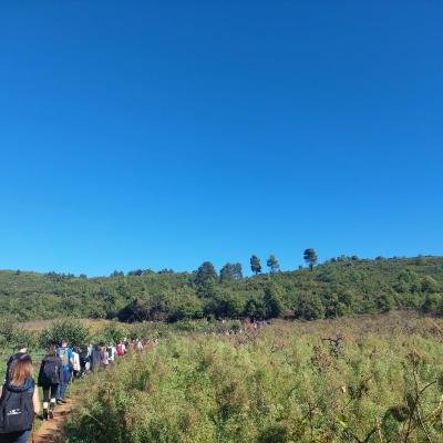 Pezoporia Dryodasos Moggostos Korinthia2