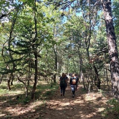 Pezoporia Dryodasos Moggostos Korinthia7