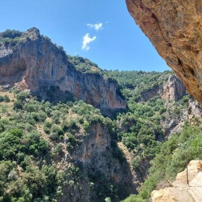 Pezoporia Farangi Lagkadiotissas8