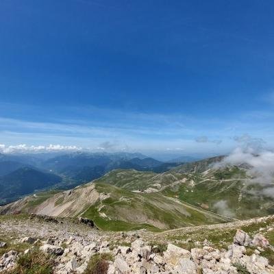 Pezoporia Xelidona Velouchi10