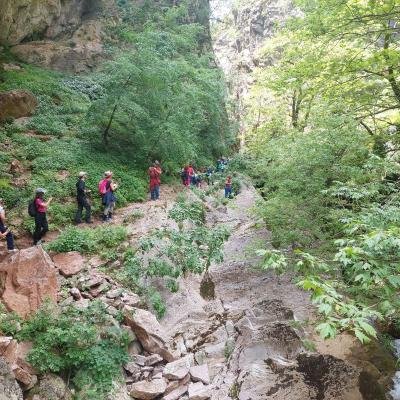 Pezoporia Xelidona Velouchi4