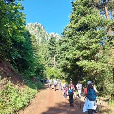Pezoporia Xelidona Velouchi6
