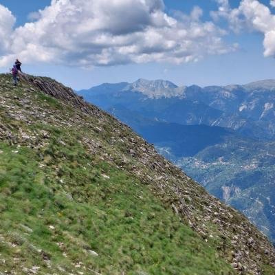 Pezoporia Xelidona Velouchi8