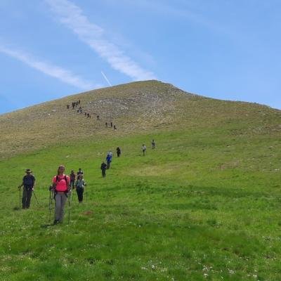 Pezoporia Xelidona Velouchi