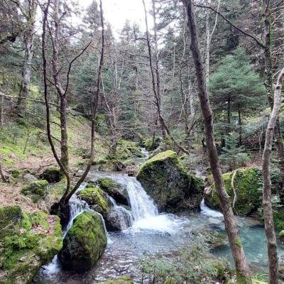 Pezopories Elati Vytina Arkadia16