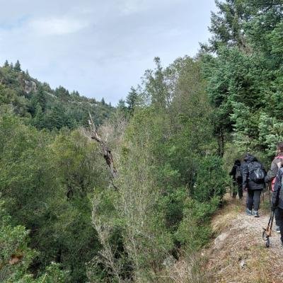 Pezopories Elati Vytina Arkadia21