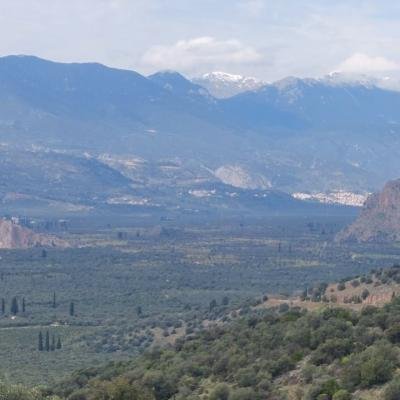 Monopatia Politismou Delfoi Kirra Pezoporia10