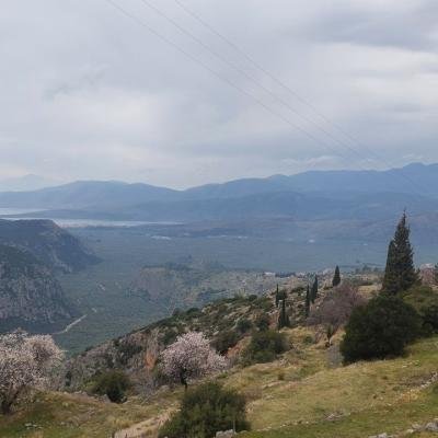 Monopatia Politismou Delfoi Kirra Pezoporia1