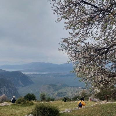 Monopatia Politismou Delfoi Kirra Pezoporia3
