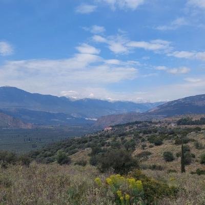Monopatia Politismou Delfoi Kirra Pezoporia7