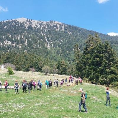 Pezoporia Limni Doxa Tourkovrysi Kerasia15