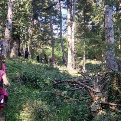 Pezoporia Limni Doxa Tourkovrysi Kerasia7