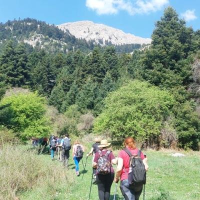 Pezoporia Limni Doxa Tourkovrysi Kerasia8