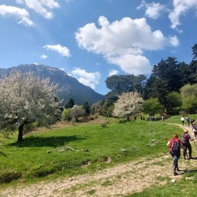 Pezoporia Limni Doxa Tourkovrysi Kerasia9
