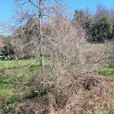Pezoporia Monopati Dasous Karyes Lakonias5