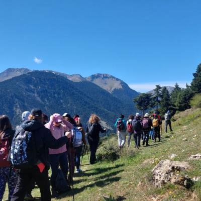Flambouritsa Ziria Pezoporia1
