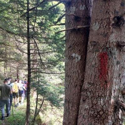 Pezoporia Evrytania Skia Kaliakouda26