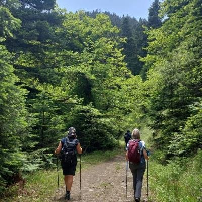 Pezoporia Evrytania Skia Kaliakouda27