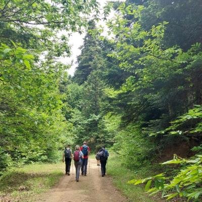 Pezoporia Evrytania Skia Kaliakouda28