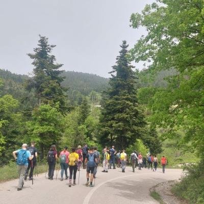 Pezoporia Evrytania Skia Kaliakouda2