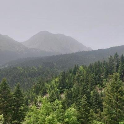 Pezoporia Evrytania Skia Kaliakouda3