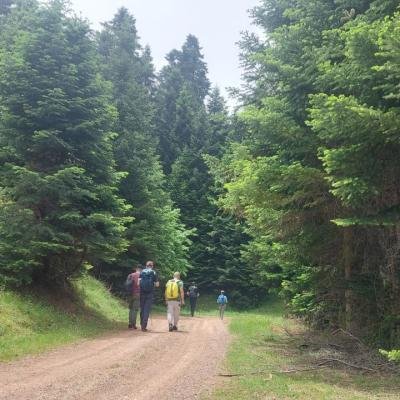 Pezoporia Evrytania Skia Kaliakouda6